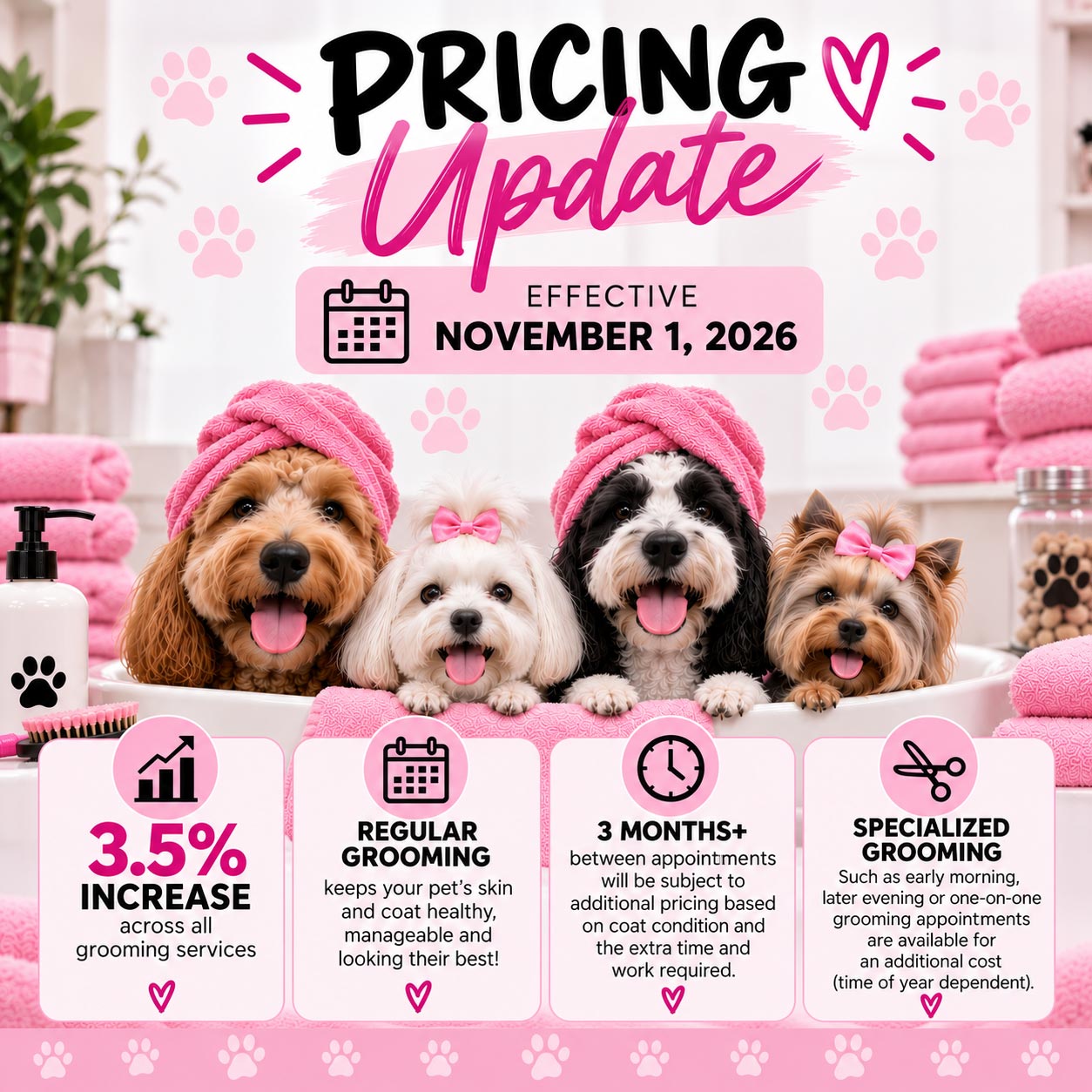 flyer for the pricing update effective November 1, 2026